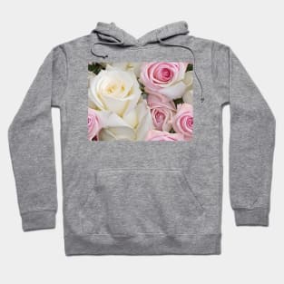 A lovely pattern of pink and white roses Hoodie